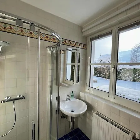 Apartment Luxury-suites Traunsee *